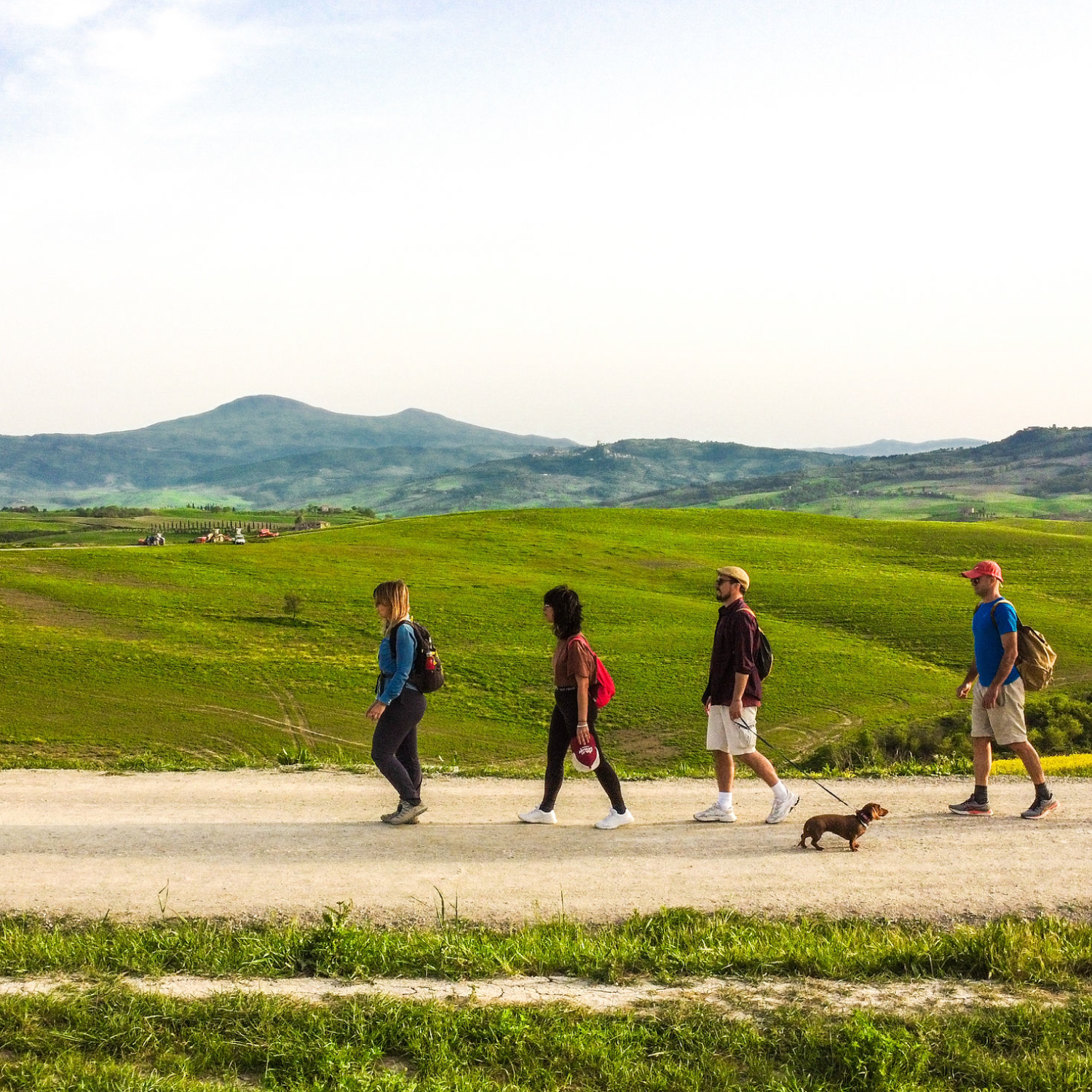 Escursioni Val d'Orcia Bagno Vignoni