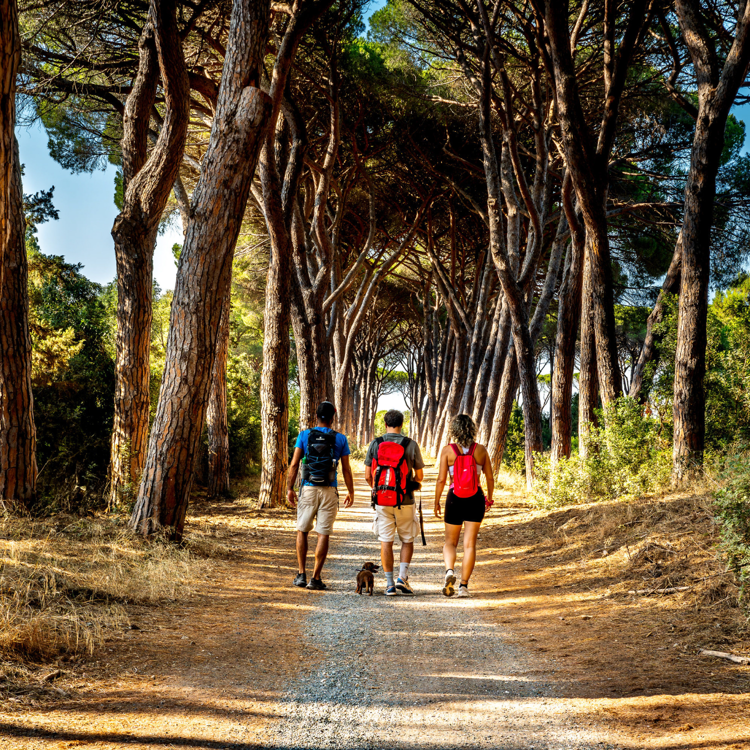 Escursioni Maremma