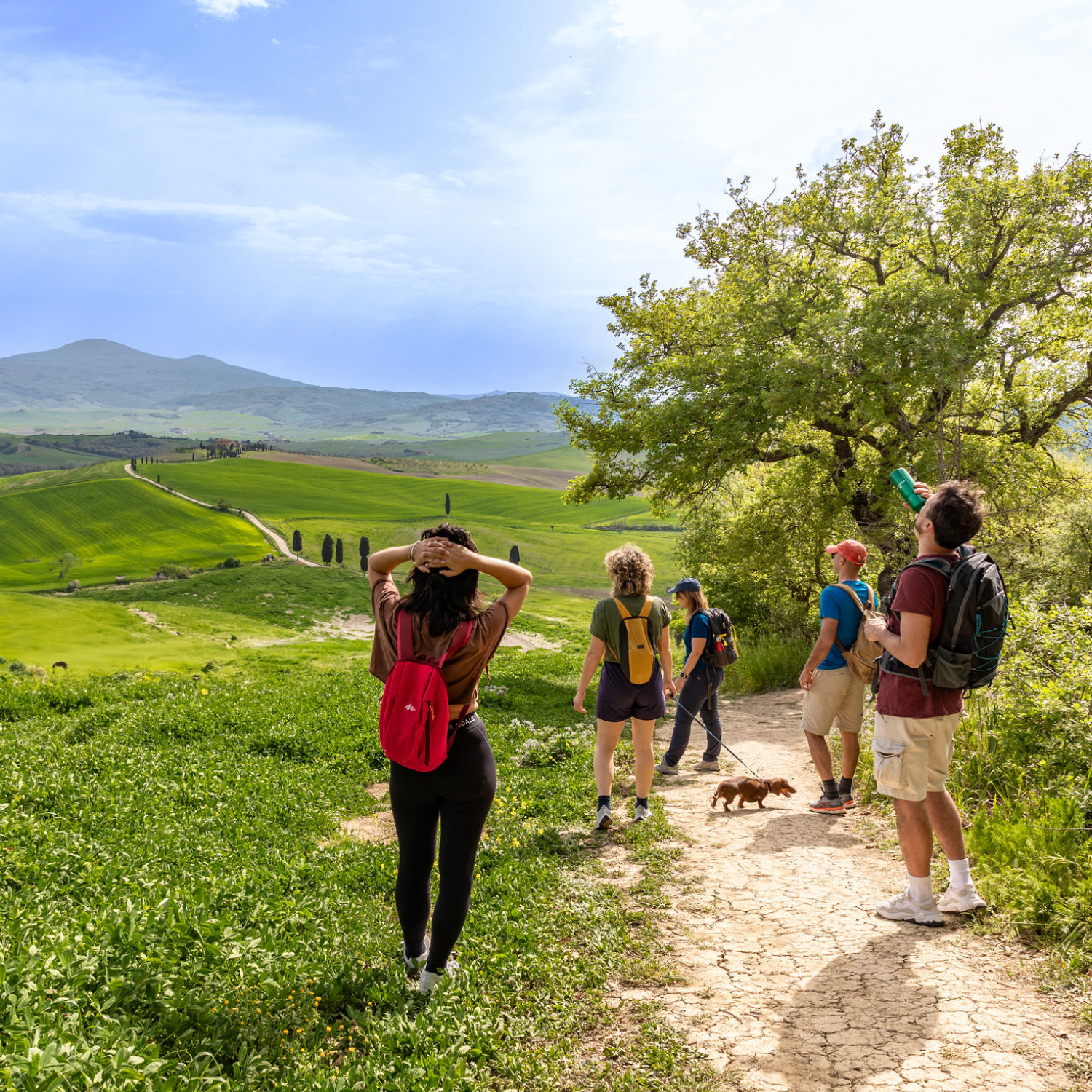 Escursioni Val d'Orcia